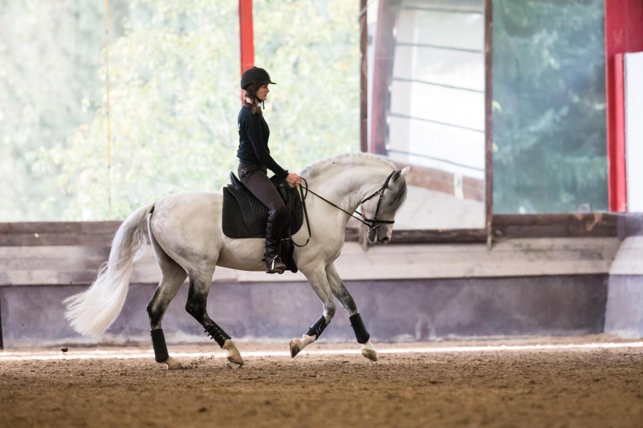 Hotel Equi-Art Reitanlage à Schwall Extérieur photo